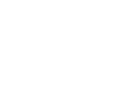 Le Guide Noir